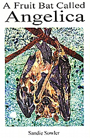 A Fruit Bat called Angelica - Product Image