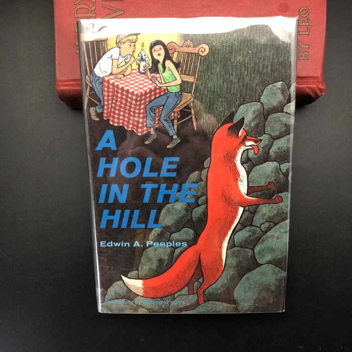 AHoleintheHill