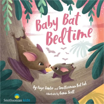 Baby Bat Bedtime - Product Image