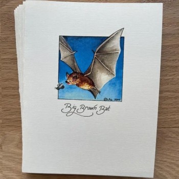 Big Brown Bat Acrylic And Pen Drawing Notecard - Product Image