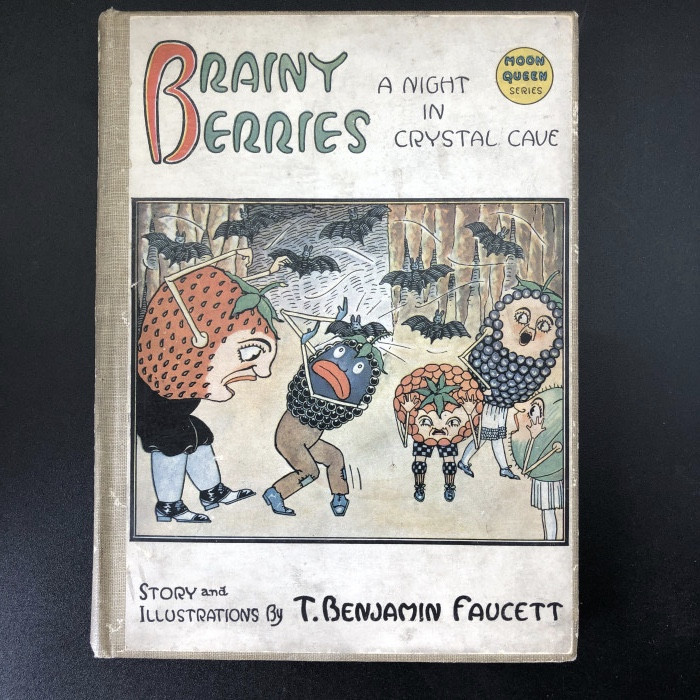 BrainyBerriesAnightinCrystalCave