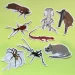 Cave Life Die Cut Stickers