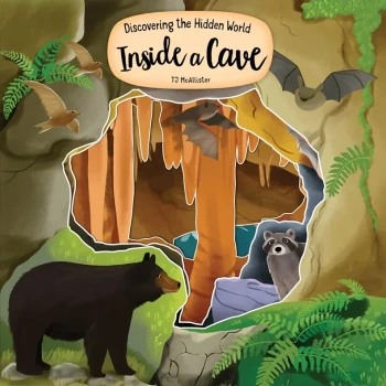 Discovering the Hidden World Inside a Cave - Product Image