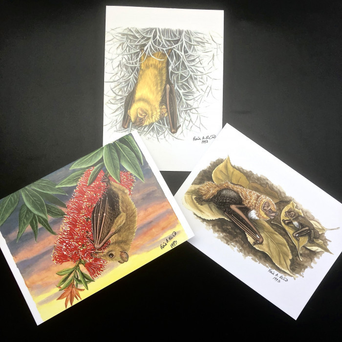 Fiona Reid Bat Art Note Cards New Releases