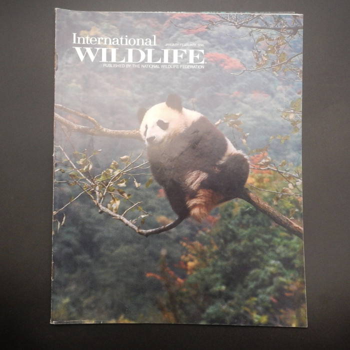 International Wildlife, January 1990, Wonder Holes
