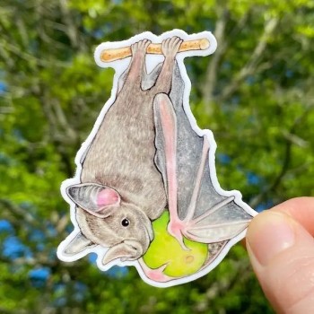 Jamaican Fruit Bat with Fig Weatherproof Vinyl Sticker - Product Image