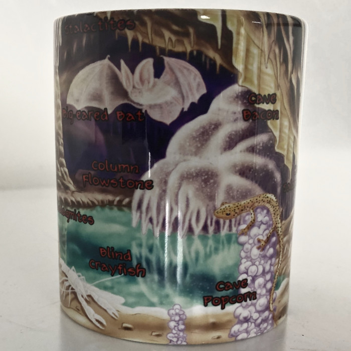 Life In A Cave Mug