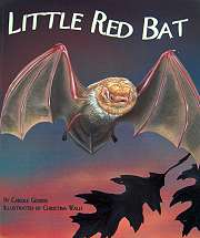 Little Red Bat - Product Image
