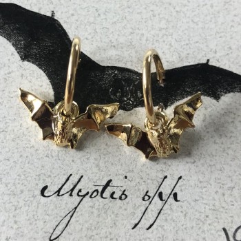 Myotis Gold Plate Hoop Earrings - Product Image