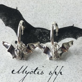 Myotis Silver Plate Hoop Earrings - Product Image