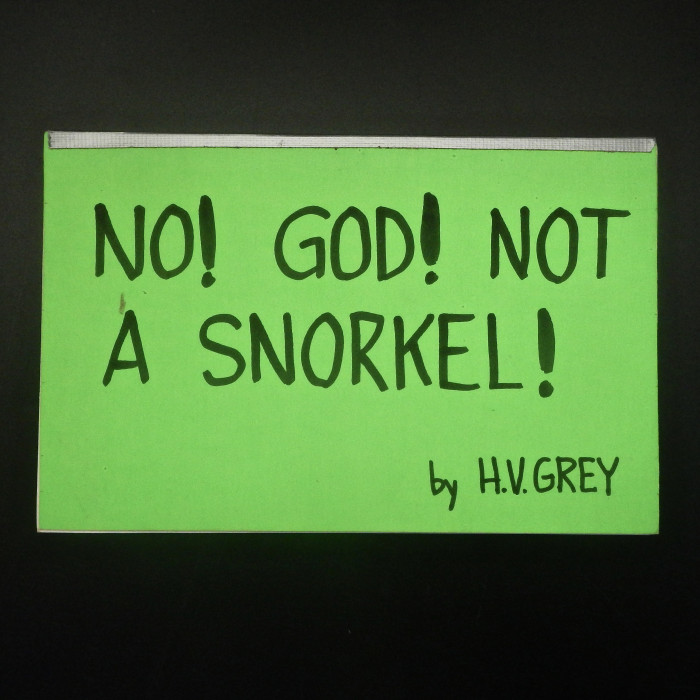 NoGodNotaSnorkel