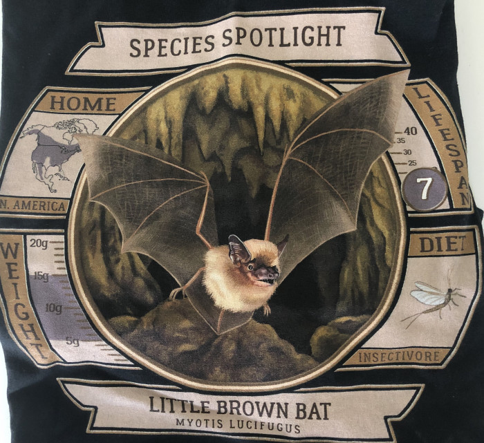 SpeciesSpotlightTeeShirt-LittleBrownBat