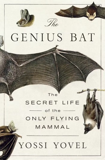 The Genius Bat  - Product Image