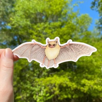 Tricolored Bat Weatherproof Vinyl Sticker - Product Image
